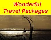 Amazing Travel Packages!